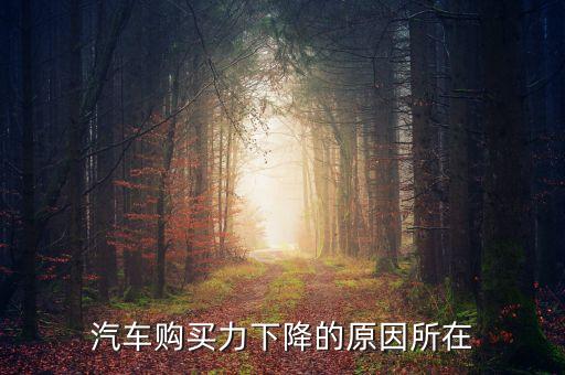 汽車(chē)購(gòu)買(mǎi)力下降的原因所在