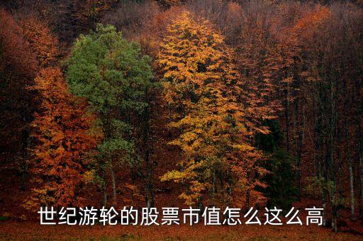 世紀(jì)游輪的股票市值怎么這么高
