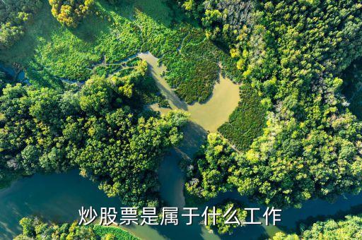 炒股算什么職業(yè)，炒股算是什么職業(yè)