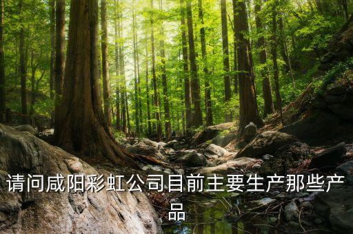 咸陽中電彩虹集團(tuán)什么企業(yè)，咸陽彩虹集團(tuán)