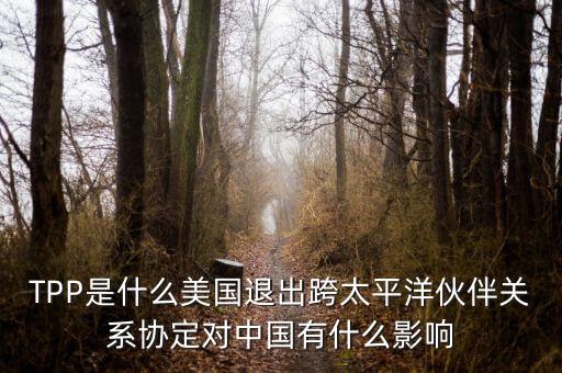 TPP是什么美國退出跨太平洋伙伴關(guān)系協(xié)定對中國有什么影響
