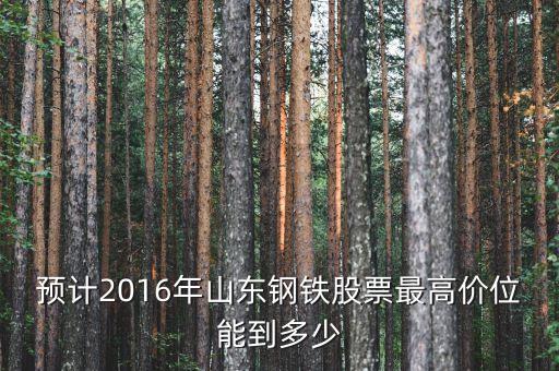 山東鋼鐵股票歷史最高什么價錢，預(yù)計2016年山東鋼鐵股票最高價位能到多少