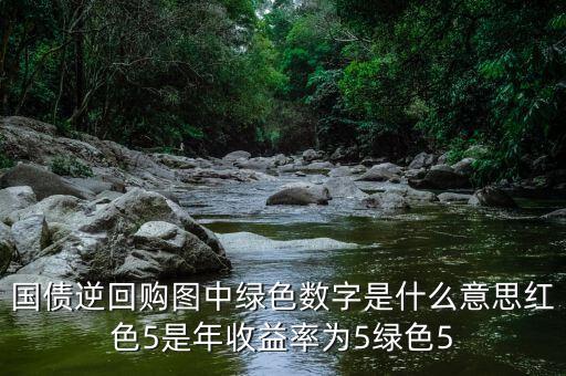 國債前面的數(shù)字是什么意思，國債期貨T1809什么意思
