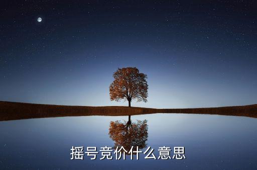 杭州車(chē)牌競(jìng)價(jià)是什么意思，競(jìng)價(jià)是什么意思呢
