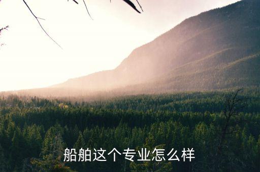 什么是船舶領(lǐng)域，船舶這個專業(yè)怎么樣