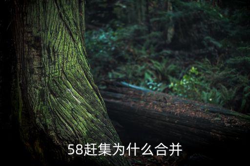 行業(yè)巨頭為什么要合并，58趕集為什么合并