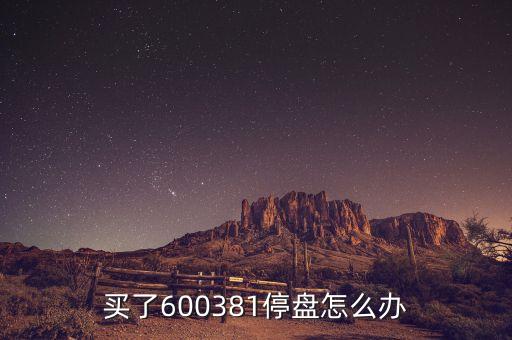 600381為什么被st，買了600381停盤怎么辦