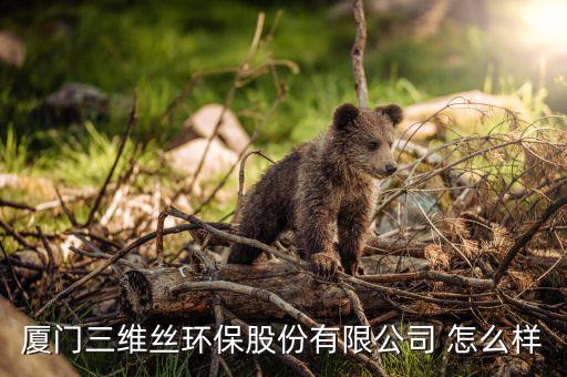 三維絲是什么企業(yè)，廈門三維絲環(huán)保股份有限公司 怎么樣