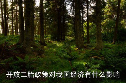 二胎放開后會有什么影響，如果放開全面二胎將會對中國經(jīng)濟造成什么影響