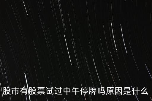 股市有股票試過(guò)中午停牌嗎原因是什么