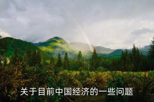 關(guān)于目前中國經(jīng)濟(jì)的一些問題