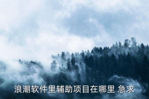 浪潮軟件里輔助項(xiàng)目在哪里 急求