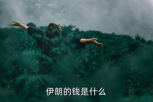 伊朗的錢(qián)是什么
