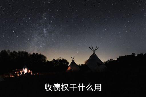 匯隆控股做什么，收債權干什么用