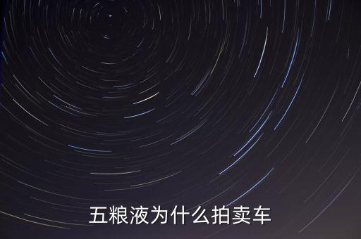 五糧液公司為什么拍賣，五糧液為什么拍賣車