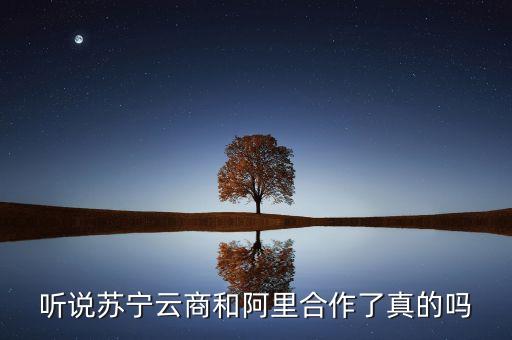 聽(tīng)說(shuō)蘇寧云商和阿里合作了真的嗎