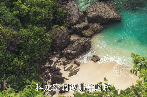 海信什么時候收購科龍，海信與科龍的關系是什么呀