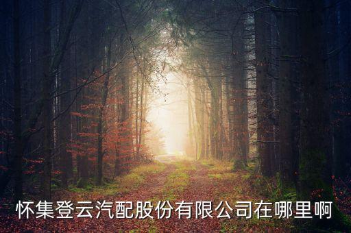 登云股份生產(chǎn)什么，懷集登云汽配股份有限公司在哪里啊