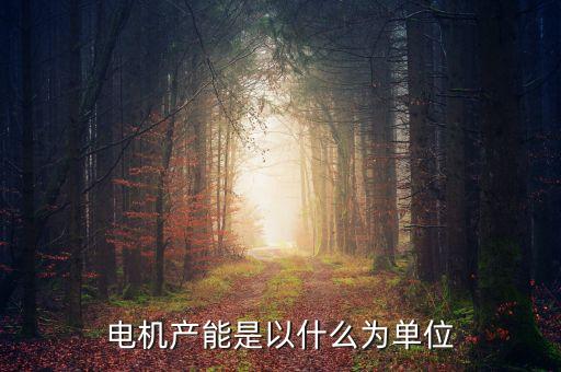 電機產能是以什么為單位