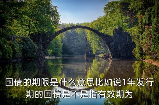 國債的期限是什么意思比如說1年發(fā)行期的國債是不是指有效期為