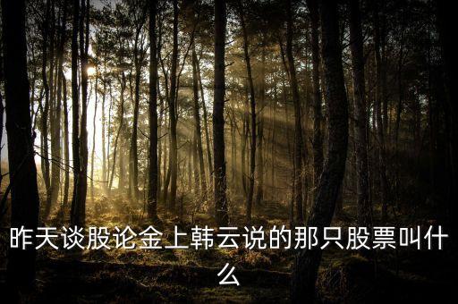 昨天談股論金上韓云說(shuō)的那只股票叫什么