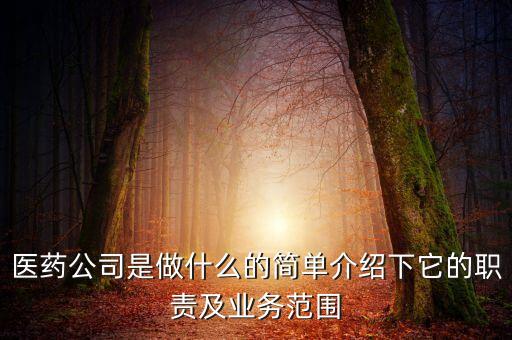醫(yī)藥公司是做什么的簡單介紹下它的職責及業(yè)務范圍