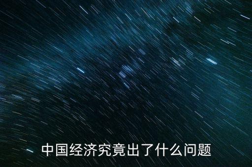 中國經(jīng)濟(jì)究竟出了什么問題