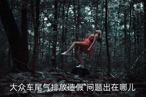 大眾車尾氣排放造假 問題出在哪兒