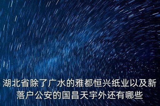 湖北省除了廣水的雅都恒興紙業(yè)以及新落戶公安的國(guó)昌天宇外還有哪些