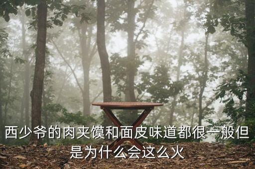 西少爺肉夾饃都有什么口味，西少爺?shù)娜鈯A饃和面皮味道都很一般但是為什么會這么火