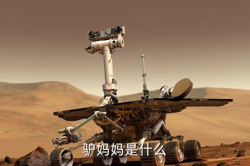 驢媽媽是什么模式，驢媽媽是什么