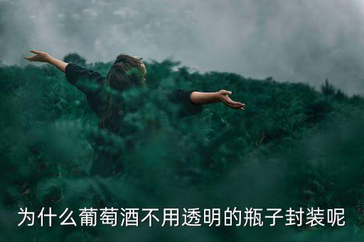 為什么紅酒沒有過度包裝，為什么一般紅酒沒有包裝盒