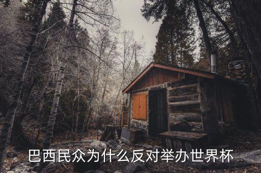 巴西為什么抗議，巴西民眾為什么反對舉辦世界杯