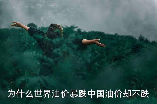為什么世界油價暴跌中國油價卻不跌