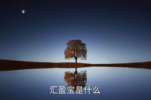 善盈寶是什么，匯盈寶是什么
