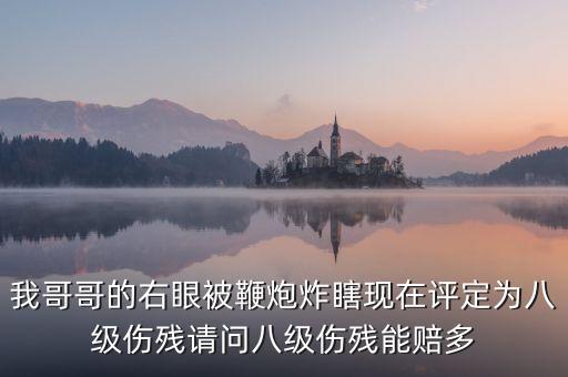 我哥哥的右眼被鞭炮炸瞎現(xiàn)在評定為八級傷殘請問八級傷殘能賠多