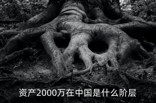 2000萬存款是什么水平，資產(chǎn)2000萬在中國是什么階層