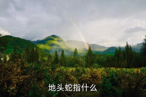 電氣五個(gè)地頭蛇指什么，地頭蛇是什么意思