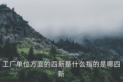 四新企業(yè)是什么，工廠單位方面的四新是什么指的是哪四新