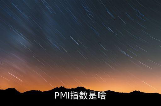 選購指數(shù)什么意思，PMI指數(shù)是啥