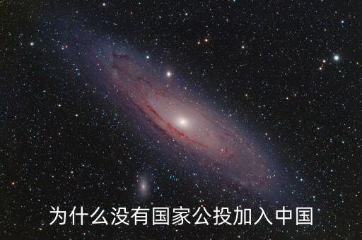 中國人為什么不公投，為什么沒有國家公投加入中國