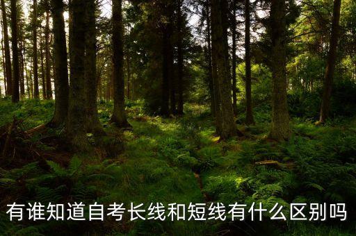 有誰知道自考長線和短線有什么區(qū)別嗎