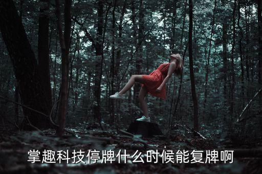 掌趣科技停牌什么時(shí)候能復(fù)牌啊