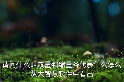 什么是放量和縮量圖片，請問什么叫放量和縮量各代表什么怎么從大智慧軟件中看出
