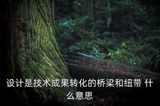設計是技術(shù)成果轉(zhuǎn)化的橋梁和紐帶 什么意思