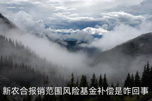 什么是政府風(fēng)險(xiǎn)補(bǔ)償基金，政府風(fēng)險(xiǎn)補(bǔ)償基金屬于哪個(gè)企業(yè)會(huì)計(jì)科目