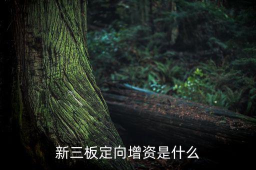 什么叫定向增資，定向增資的介紹