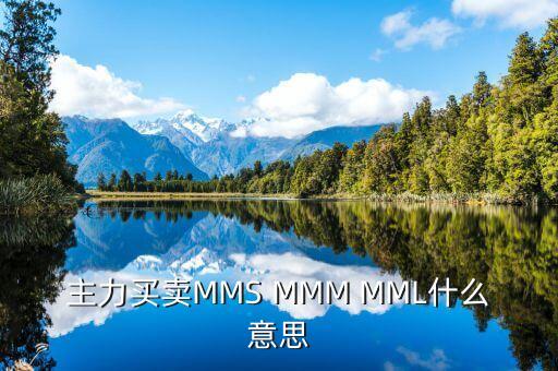 mmm停盤是什么意思，主力買賣MMS MMM MML什么意思