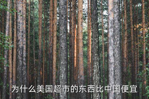 美國為什么物價低，為什么美國物價比我們還便宜