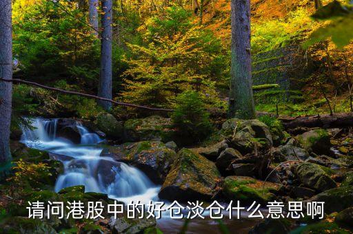 請(qǐng)問港股中的好倉淡倉什么意思啊